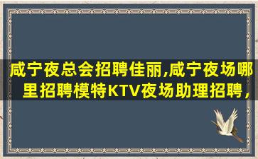 宜昌酒吧招聘